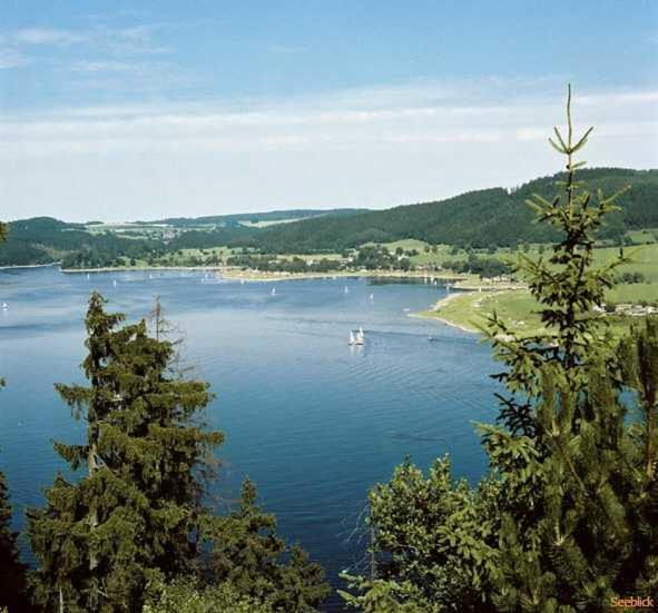 Hotel Seeblick Saalburg Esterno foto
